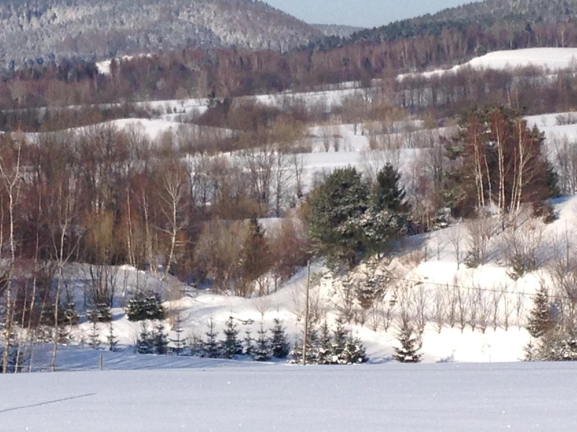 Domki Pod Kiczera W Baligrodzie, Bieszczady Exterior foto