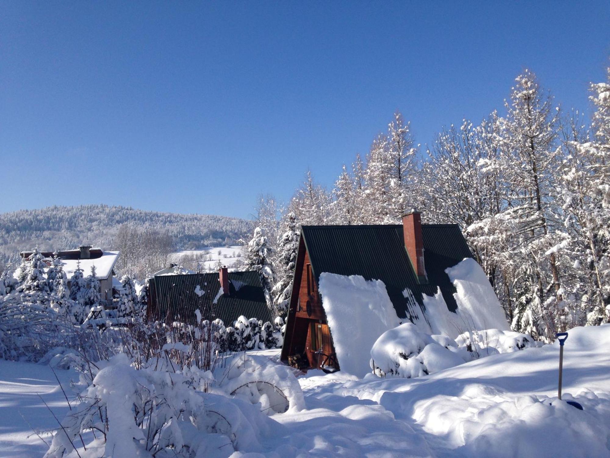 Domki Pod Kiczera W Baligrodzie, Bieszczady Exterior foto
