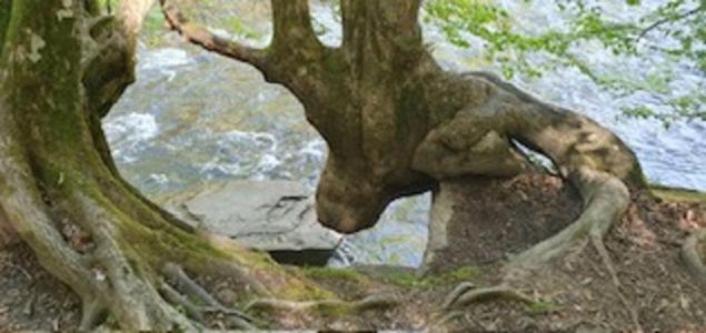 Domki Pod Kiczera W Baligrodzie, Bieszczady Exterior foto
